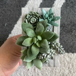 Bath and Body Works succulent wallflower